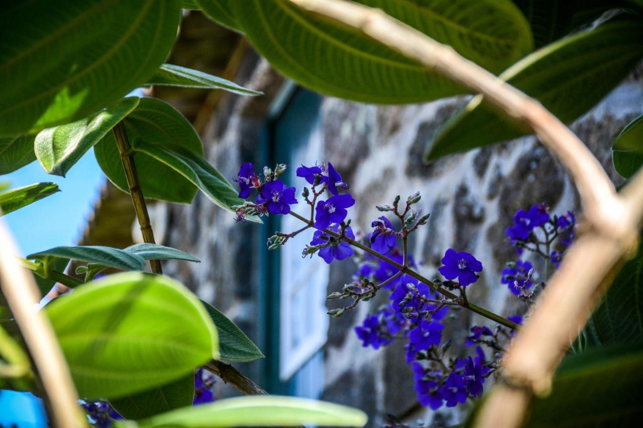 Quinta Dos Frutos Villa Santa Cruz da Graciosa Eksteriør bilde