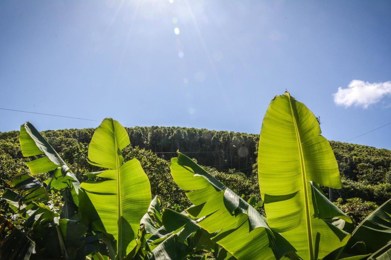 Quinta Dos Frutos Villa Santa Cruz da Graciosa Eksteriør bilde