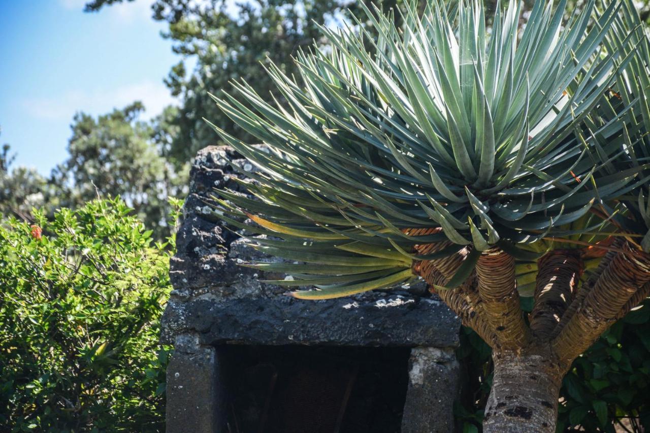 Quinta Dos Frutos Villa Santa Cruz da Graciosa Eksteriør bilde